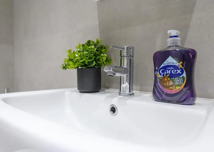 Fantastic Modern 1 Bedroom Apartment